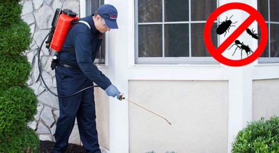 Sumbas Hamam Böceği İlaçlama böcek ilaçlama ve haşere kontrolü — ilaclama-tr.com